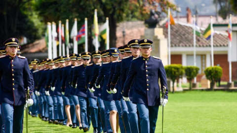 Senado