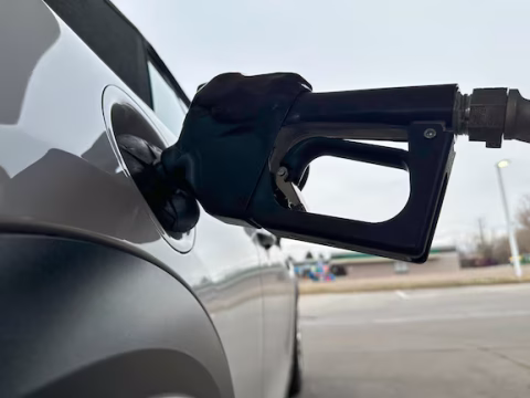 gasolina