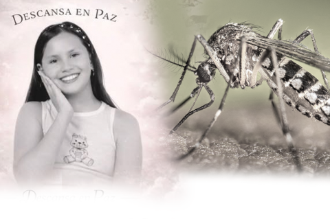 Fallece niña de 12 años por dengue en Huila