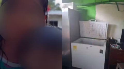 Niños hallados en nevera: hipótesis policial