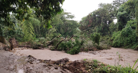 Lluvias causan emergencias en Huila