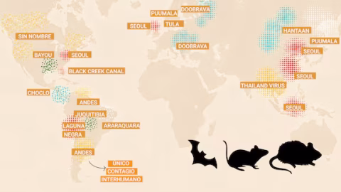 Alerta por cepa mortal de hantavirus