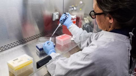 MinSalud descarta casos de hantavirus