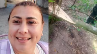 Ventana de muerte: clave en caso Yulixa
