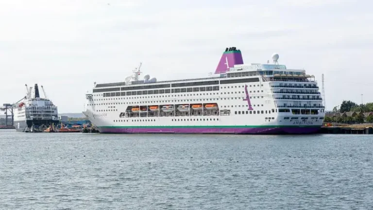 Brote de norovirus en crucero francés