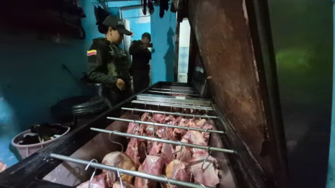 Desmantelan red de carne de caballo en Bucaramanga