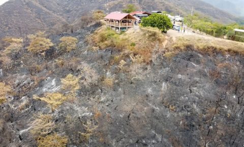 Incendios forestales alertan al Huila