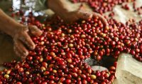 Exportaciones del Huila siguen en caída
