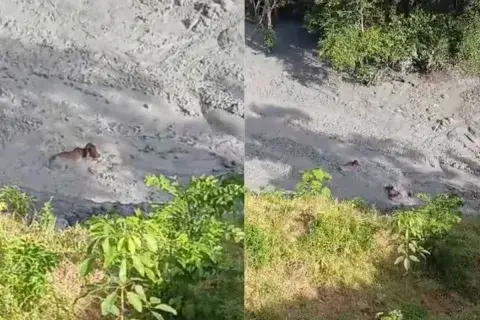 Erupción de volcán de lodo en San Pedro de Urabá afecta