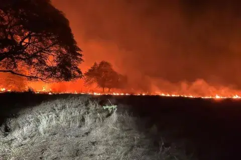 Tolima en alerta: más de 22 mil hectáreas quemadas por incendios