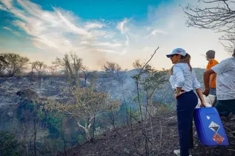 San Luis sufre la mayor tragedia ambiental de su historia