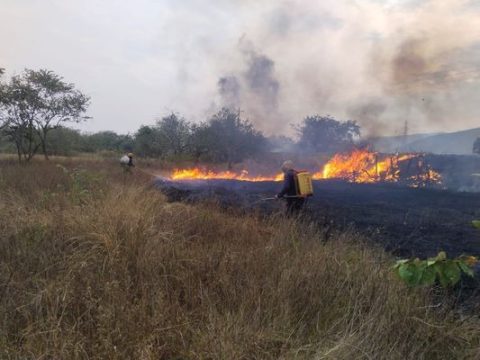 Preocupación en el Huila por incendios forestales activos