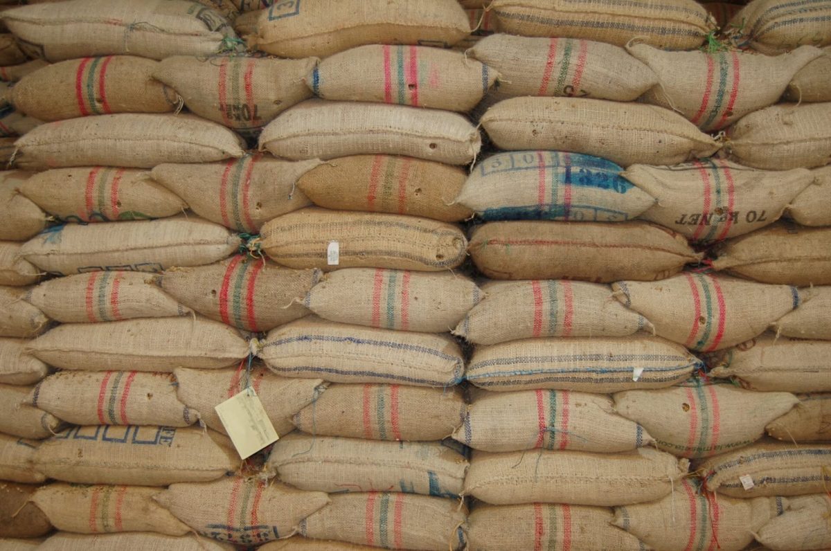 Se desploman 21,6% las exportaciones del Huila por caída en el café